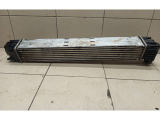 Интеркулер Dacia Duster