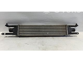 Интеркулер SEM Fiat Grande Punto