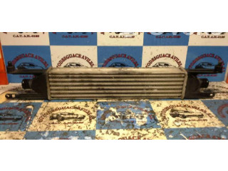 Интеркулер  0055700449   Fiat Punto (199) 