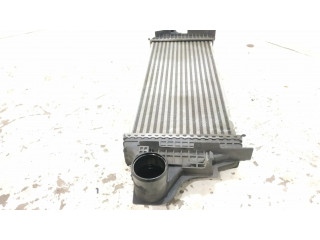 Интеркулер 2515000000, 1645001900 Mercedes-Benz R W251 3.0