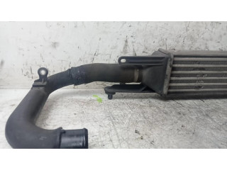 Интеркулер  INTERCOOLER   Fiat Punto (199) 1.2