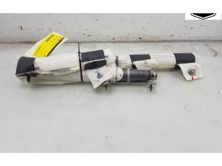 Надувная подушка для крыши 103675700H, 103675700H Tesla Model X A0003K8775D