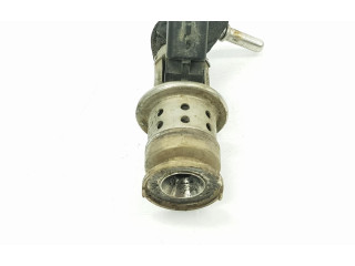 Форсунка 9802763880, 9802763880 Citroen C4 II Picasso BH01