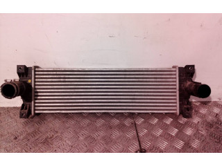 Интеркулер 621970, 621970 SsangYong Kyron