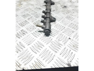 Vstřikovací lišta 0445214239, 0445214239 Fiat Fiorino 199.A.9000