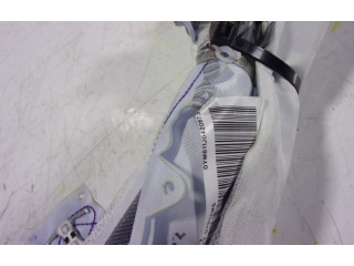 Подушка безопасности двери 575880741F, 0YM611J0420673   Cupra Ateca