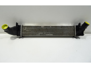 Интеркулер 6001548727 Dacia Logan I