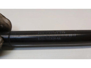 Amortizatorius su spyruokle