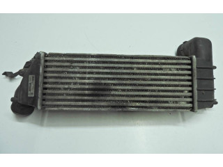 Интеркулер  1489396080, IA1076   Citroen C8 