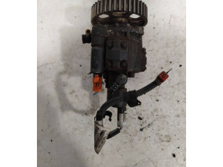 Vstřikovací čerpadlo 9641687980, 0895601 Citroen Berlingo