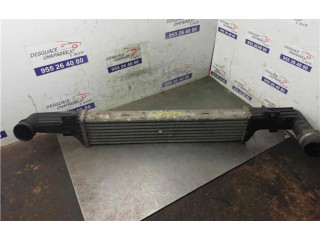 Интеркулер  2105000400, 2105000400   Mercedes-Benz E AMG W210 