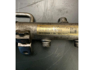 Vstřikovací lišta A6420702495, 0916100498 Mercedes-Benz S W221