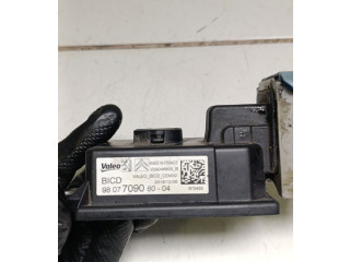 Блок управления 980770908004, V29046805B Peugeot 2008 I