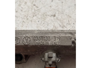 Топливная рампа 036133319   Audi A3 S3 8P   для двигателя BLS