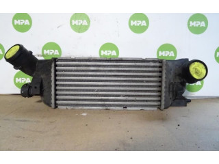 Интеркулер Citroen C5