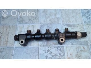 Vstřikovací lišta 9654592680, 9658227880 Citroen C2 pro naftový motor 1.4