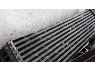 Интеркулер 7809321 BMW X5 E70 0.0