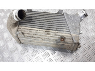 Интеркулер     Audi A8 S8 D3 4E 3.0