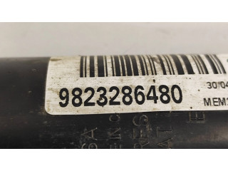 Задний aмортизатор      