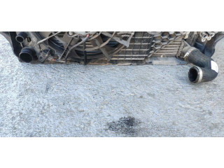 Интеркулер Skoda Fabia Mk2 (5J)