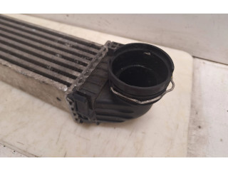 Интеркулер  A1695000000   Mercedes-Benz A W169 