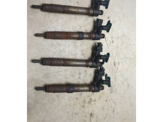 Комплект жиклеров (форсунок) 0445115025    Citroen C5