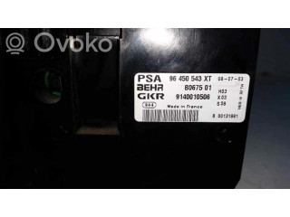 Блок управления климат-контролем B067501, 96450543XT Citroen Xsara Picasso