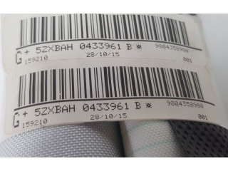 Боковая подушка безопасности 9804358980, 9804358980 Citroen C4 Cactus