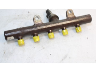 Топливная рампа    Renault Clio III  