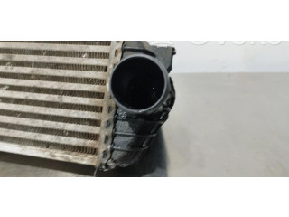 Интеркулер     Ford Transit -  Tourneo Connect 