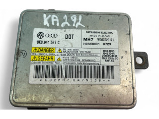 Блок управления Xenon