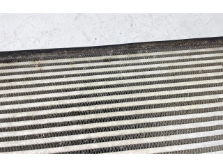 Интеркулер  1K0145803BN, 1K0820411AE   Skoda Octavia Mk2 (1Z) 