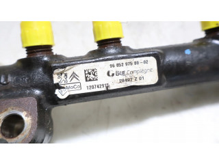 Vstřikovací lišta Ford Fiesta