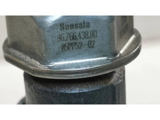 Vstřikovací lišta 9804776780, 152480991   Citroen Berlingo  pro naftový motor 1.6  