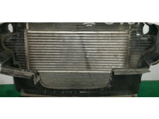 Интеркулер  A2515000000   Mercedes-Benz R W251 