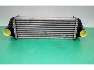Интеркулер  7T169L440AE, H1808005   Ford Tourneo 