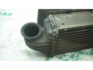 Интеркулер     Ford Escort 1.8