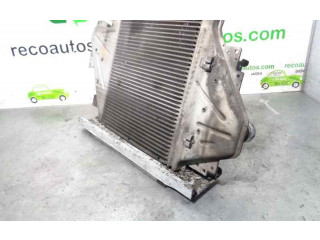 Интеркулер  8200252209, B9162BEHR   Renault Clio II 