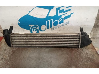 Интеркулер 8200409045 Dacia Logan I