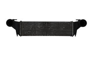 Vstřikovač 17517791231 BMW X5 E53 M57D30_306D2