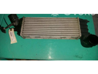 Интеркулер  1489396080   Fiat Ulysse 