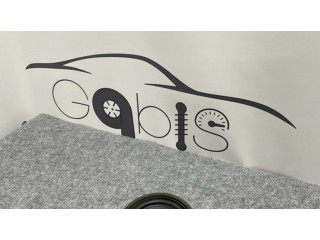 Громкоговоритель (громкоговорители) в передних дверях