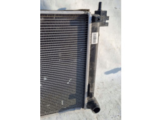 Блок подушек безопасности 253101HXXX   KIA Rio