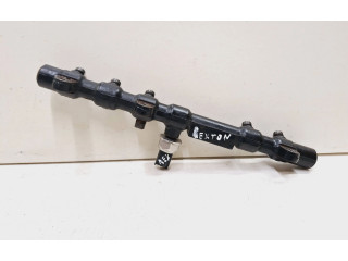 Топливная рампа A6650700295, R9145Z010B   SsangYong Rexton  