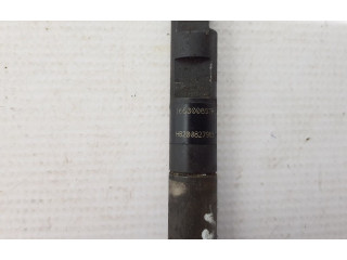 Жиклер (жиклеры) (форсунка (форсунки) 166000897R Dacia Duster