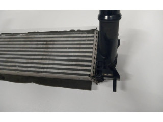 Интеркулер  A4705010700   Mercedes-Benz W470 