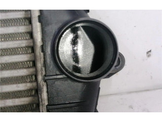 Интеркулер  8200411160C, 0120045   Renault Trafic II (X83) 