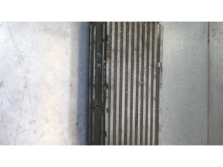 Интеркулер  9650613280, 876941V   Citroen C5 2.2