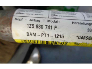 Подушка безопасности двери 1Z5880741F Skoda Octavia Mk2 (1Z)