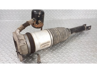 Задний aмортизатор (пневматическое / гидравлическое шасси)